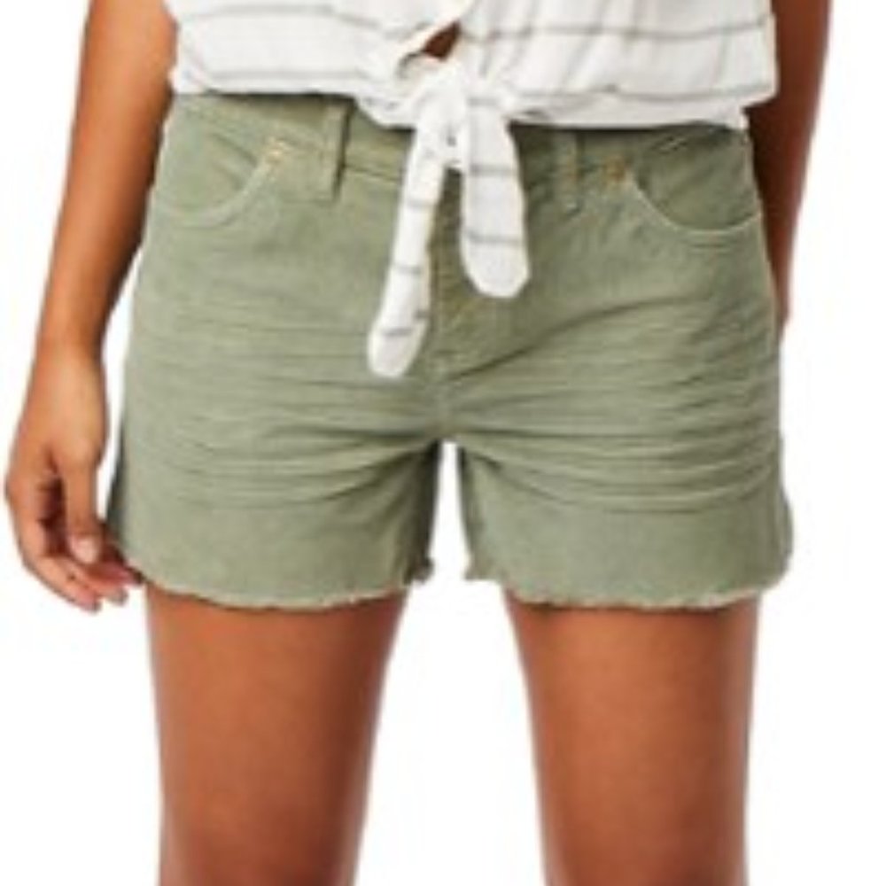 Carve Design Oahu 4 In Shorts